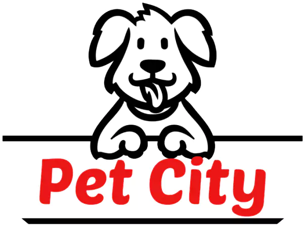 logo-img